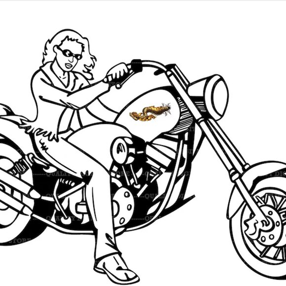 Lethal Threat RIP N Tear Snake Decal Sticker LT02014 💸 - Picture 2 of 3